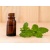 bigstock-bottle-of-mint-essential-oil-o-99287495