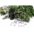 bigstock-rosemary-and-other-mediterrane-26051072